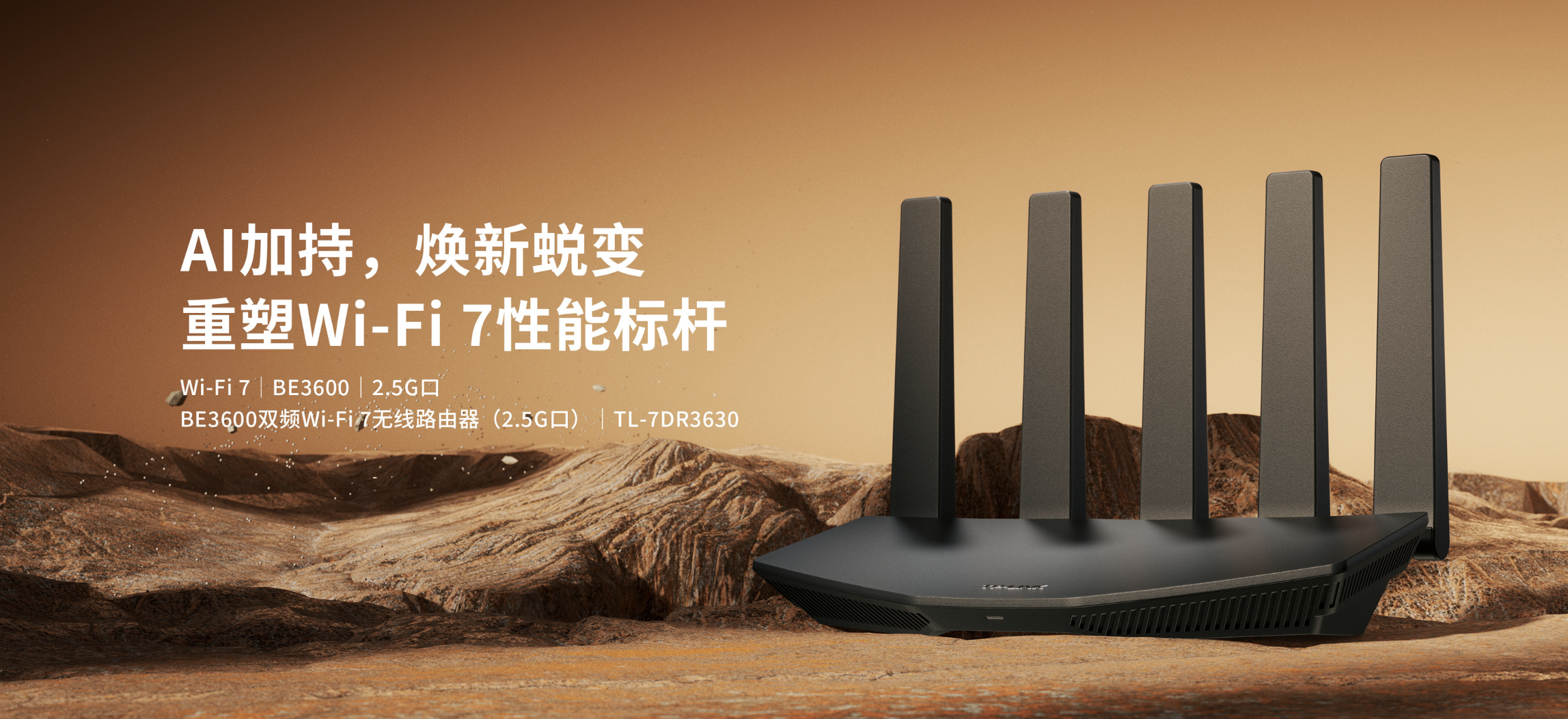 Image of the router